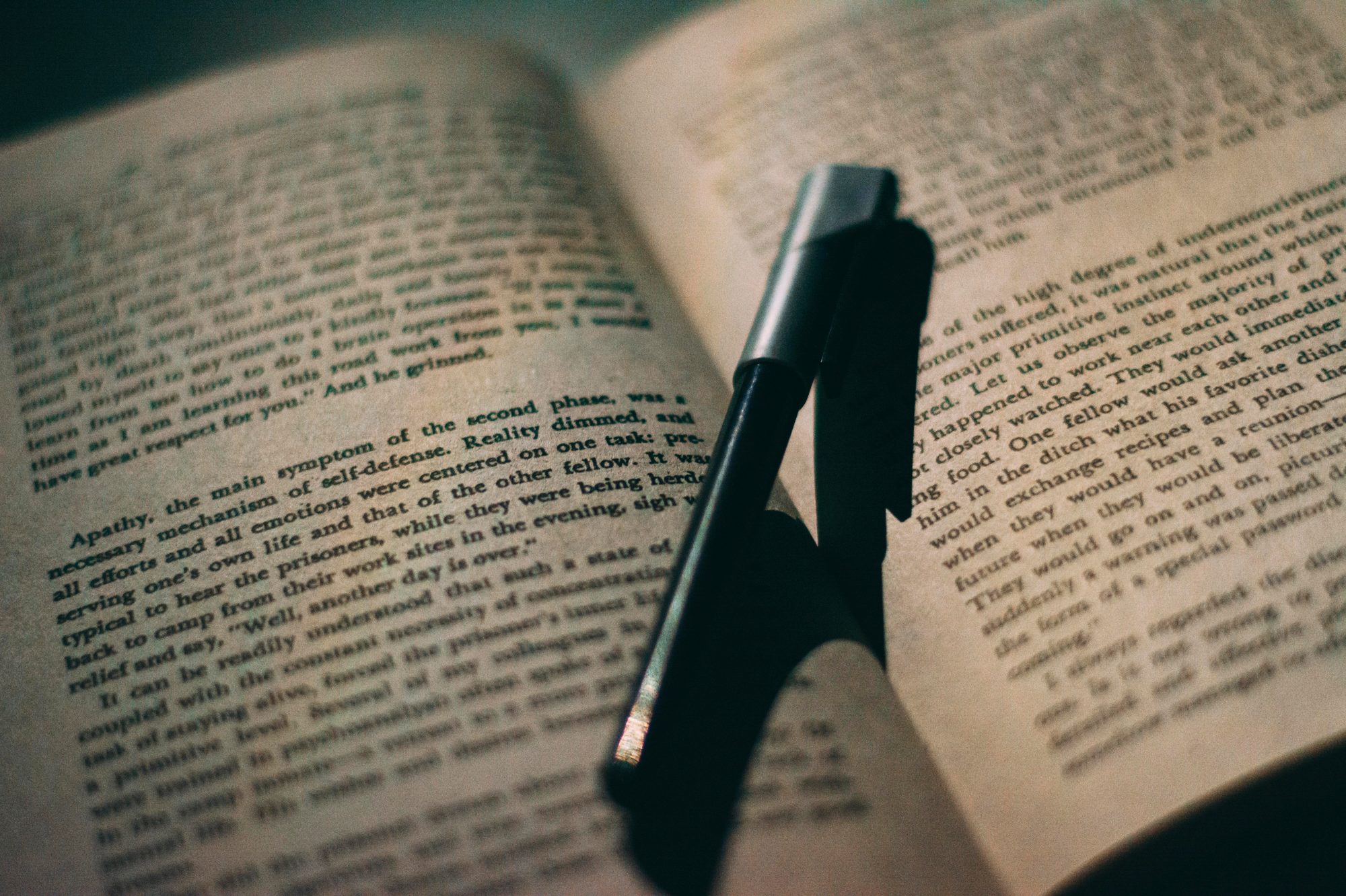 écriture de roman